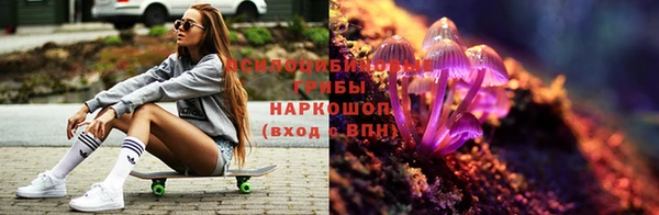 дурь Алексин