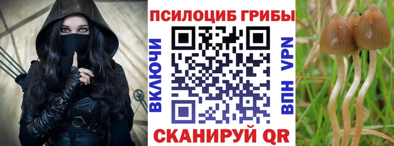 omg tor  Константиновск  Псилоцибиновые грибы Psilocybe 