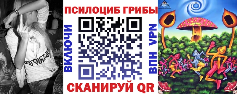 Галлюциногенные грибы Psilocybine cubensis Константиновск